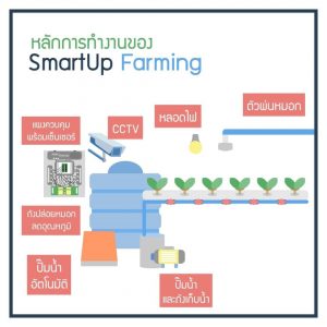 Smartup Farming3