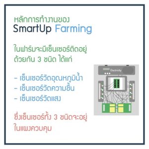Smartup Farming4