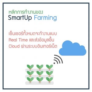 Smartup Farming5