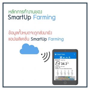 Smartup Farming6