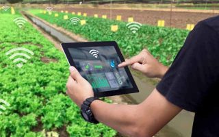 SmartUP Smart Farm
